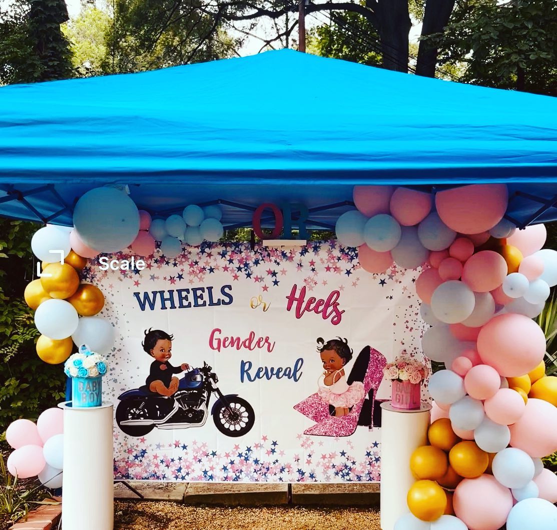 Outdoor gender reveal tent setup with a 'Wheels or Heels' backdrop, pink and blue balloon garlands, and illustrated baby graphics