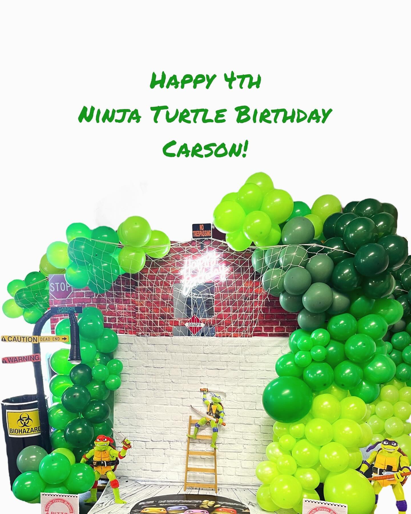 Ninja Turtle themed birthday backdrop with a brick wall photo panel, netting, green balloon garland, action figures, a ladder and street signs